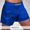 image:imageHayabusa Arrow Kickboxing Shorts