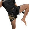 image:imageHayabusa Falcon Muay Thai Shorts