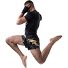 image:imageHayabusa Falcon Muay Thai Shorts