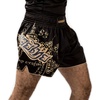 image:imageHayabusa Falcon Muay Thai Shorts