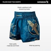 image:imageHayabusa Falcon Muay Thai Shorts