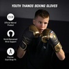 image:imageHayabusa Marvel Hero Elite Boxing GlovesThanos