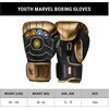 image:imageHayabusa Marvel Hero Elite Boxing GlovesThanos