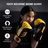 image:imageHayabusa Marvel Hero Elite Boxing GlovesWolverine