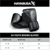 image:imageHayabusa S4 Kids Boxing Gloves for Boys and GirlsBlue