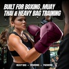 image:imageHayabusa T3 LX Leather Boxing GlovesObsidian